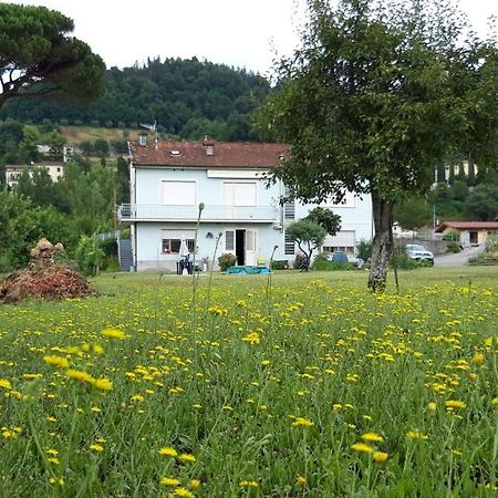 Affittacamere La Foresta Di Sopra Barga Exterior foto