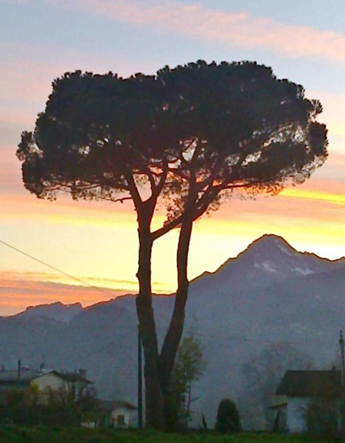 Affittacamere La Foresta Di Sopra Barga Exterior foto